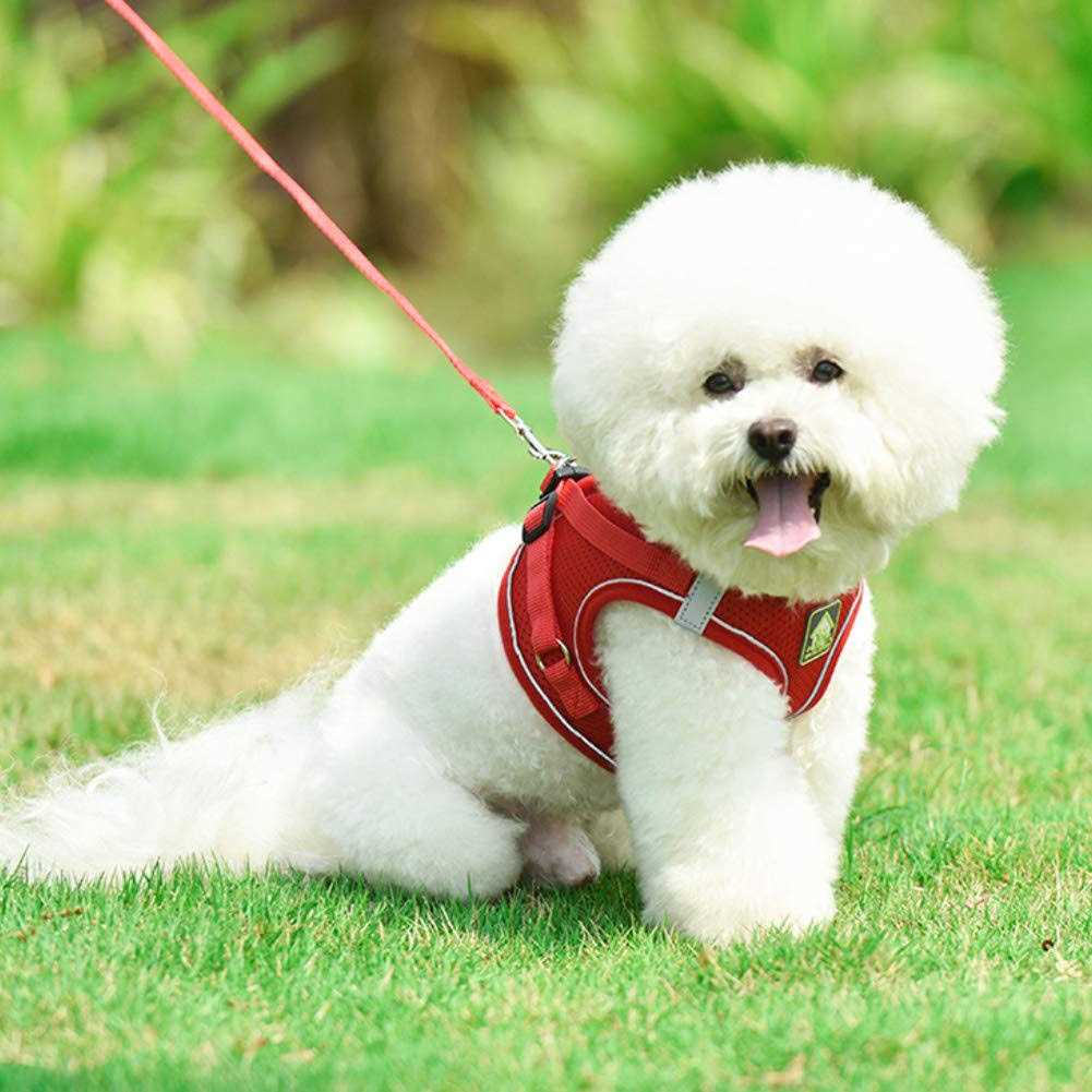 Feimax Dog Harness and Leash Set No-Pull Soft Mesh Vest Reflective Adjustable Pet Harnesses For Small - Nail Gallerys