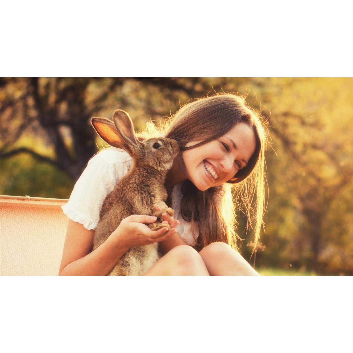 Sherwood Pet Health Adult Free Choice Timothy Rabbit Food - Nail Gallerys