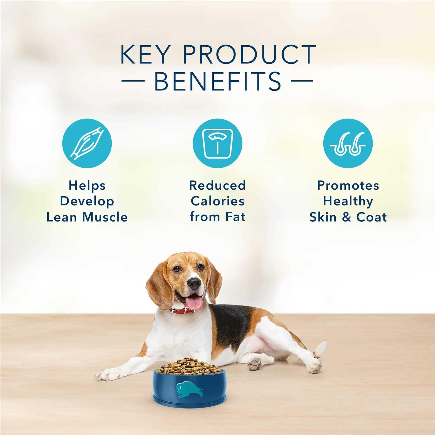 Blue Buffalo Basics Healthy Weight Turkey & Potato Dry Dog Food - Nail Gallerys