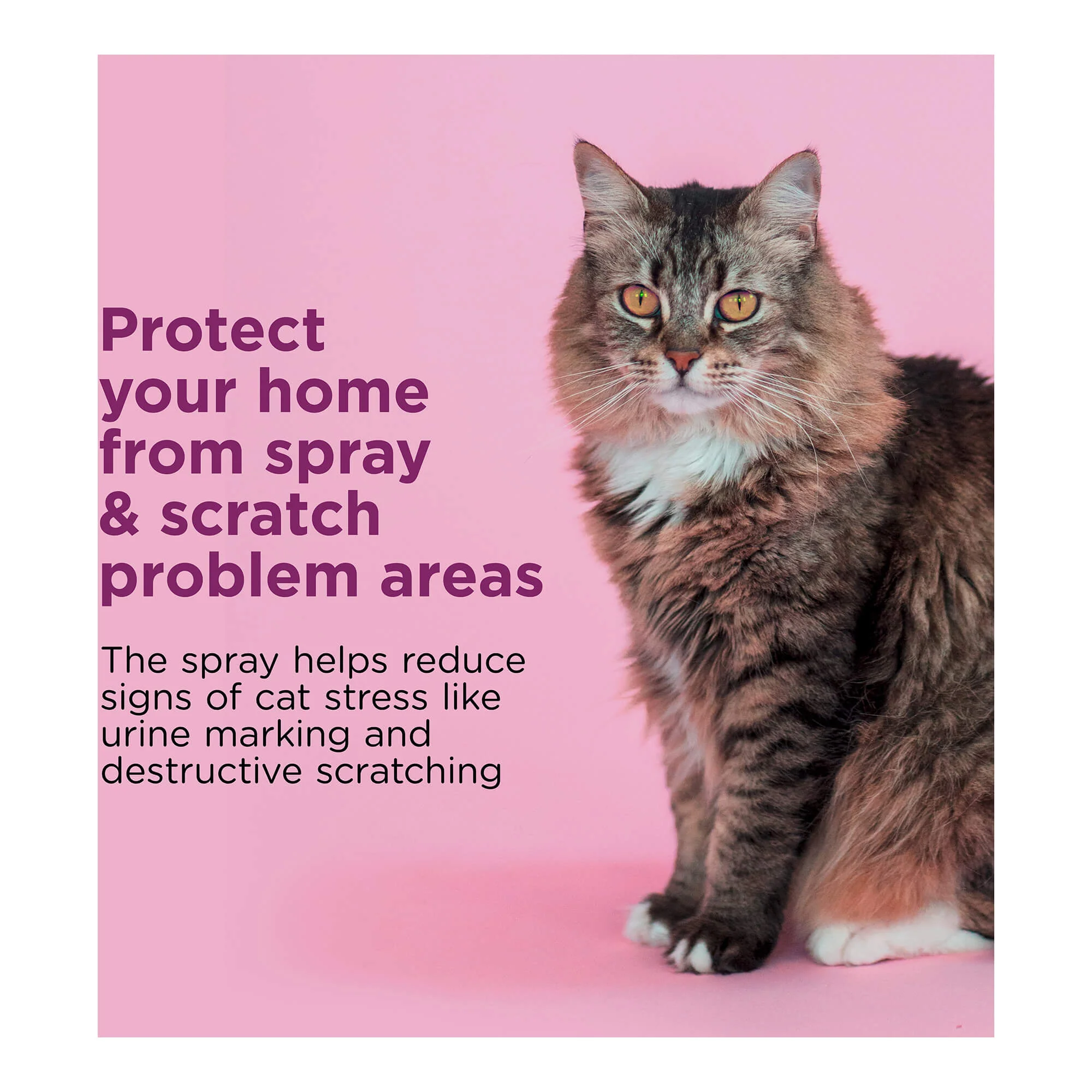 Comfort Zone Scratch Deterrent and Calming Spray - Nail Gallerys