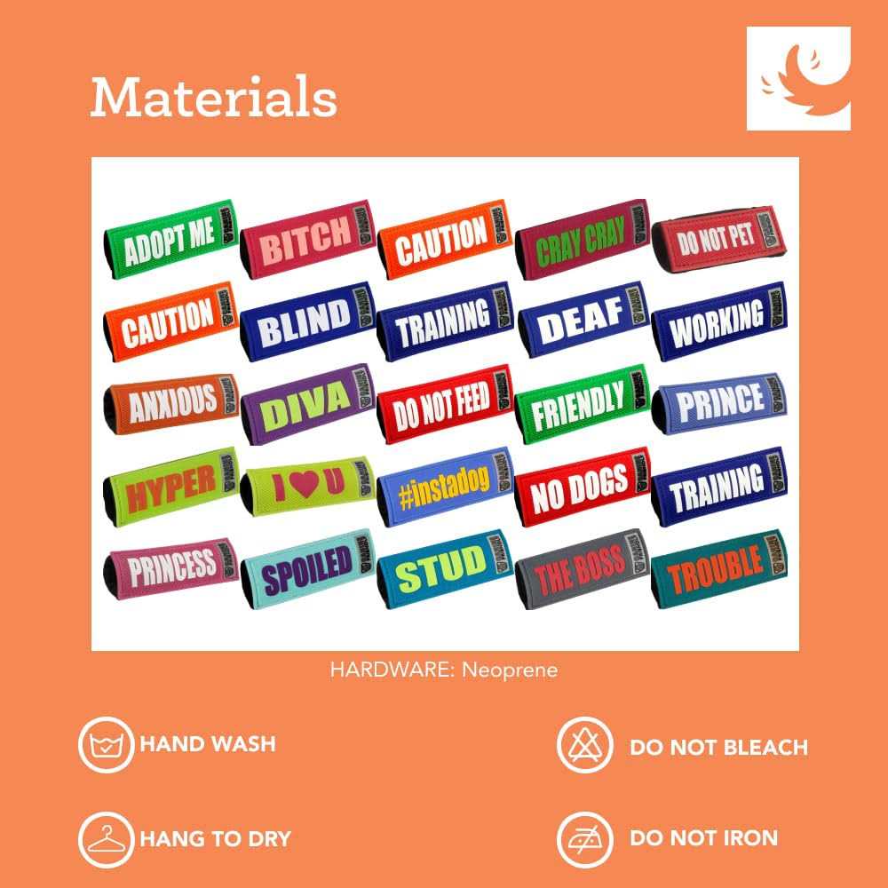 Bark Notes Dog Collar and Leash - Nail Gallerys