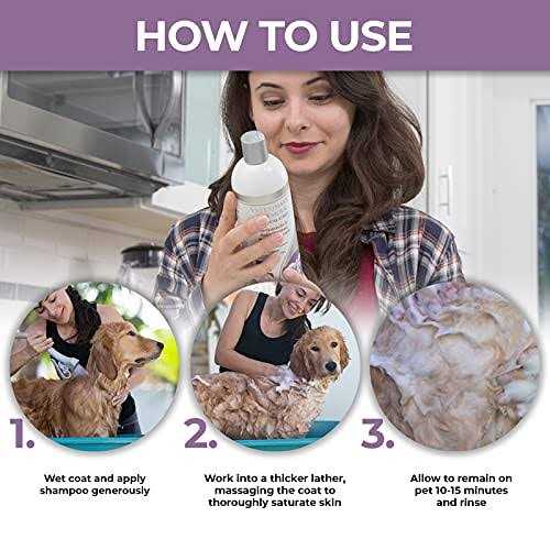 Veterinary Formula Clinical Care Antiparasitic & Antiseborrheic Medicated Shampoo - Nail Gallerys