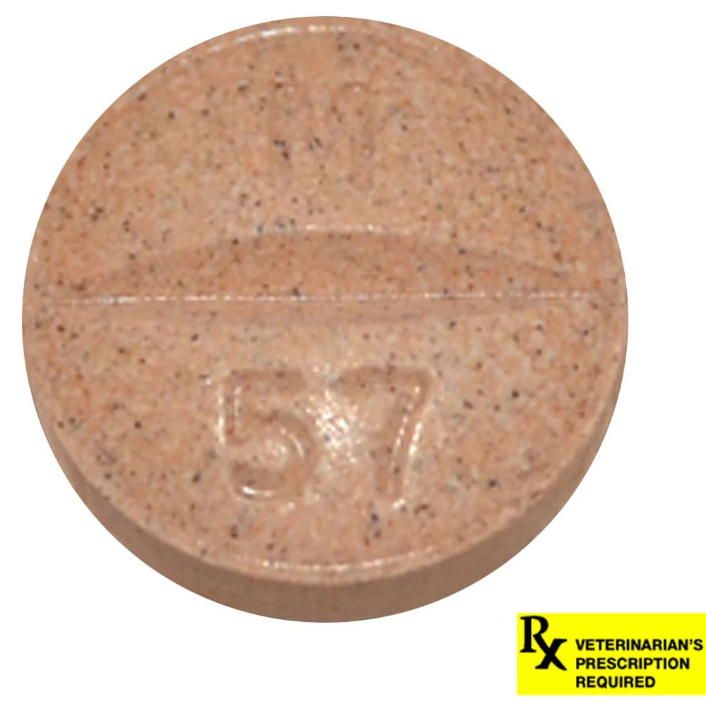 Rx Previcox (firocoxib) Chew Tabs for Dogs - Nail Gallerys