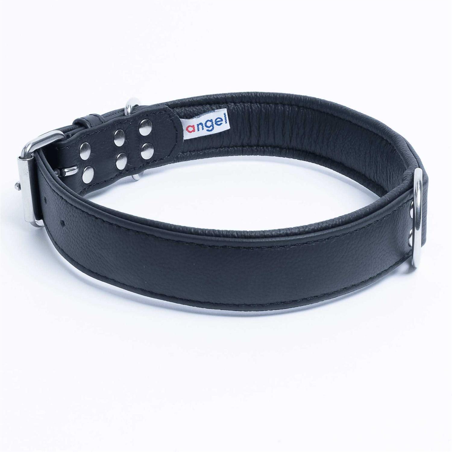 Alpine Dog Collar - Nail Gallerys