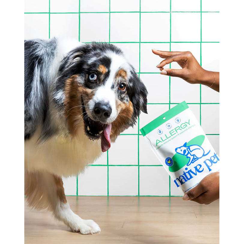 Native Pet Allergy Chews for Dogs - Nail Gallerys