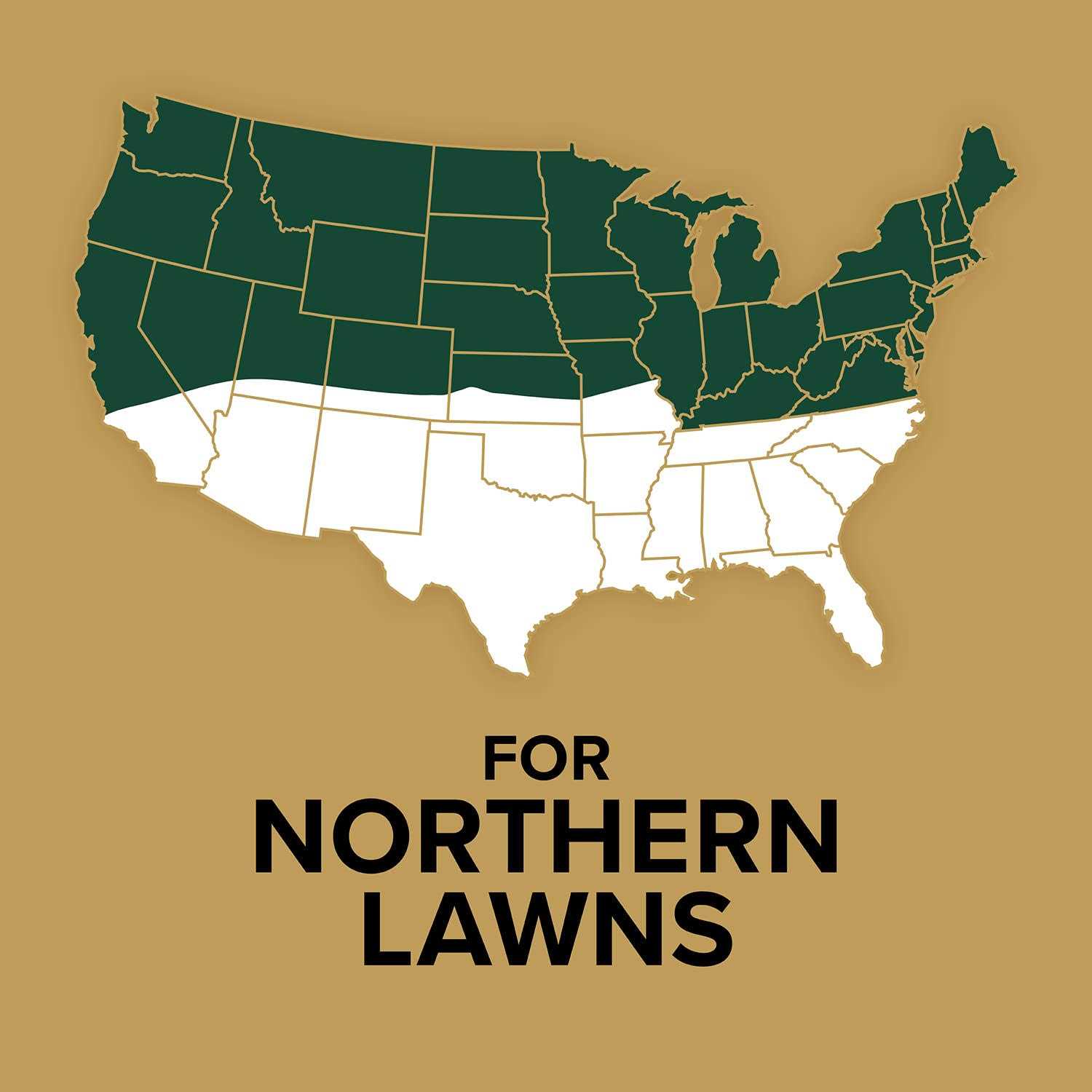 Scotts EZ Seed 17446 Dog Spot Repair - Nail Gallerys