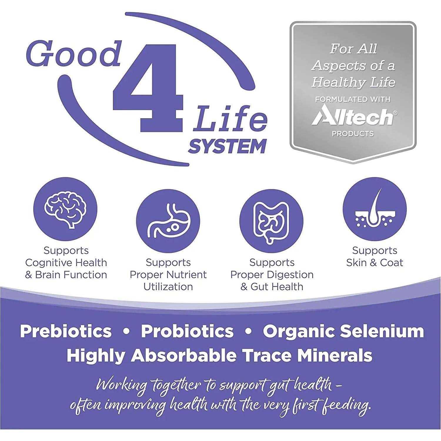 NutriSource Chicken Rice Small Medium-Breed Puppy Dry Dog Food - Nail Gallerys