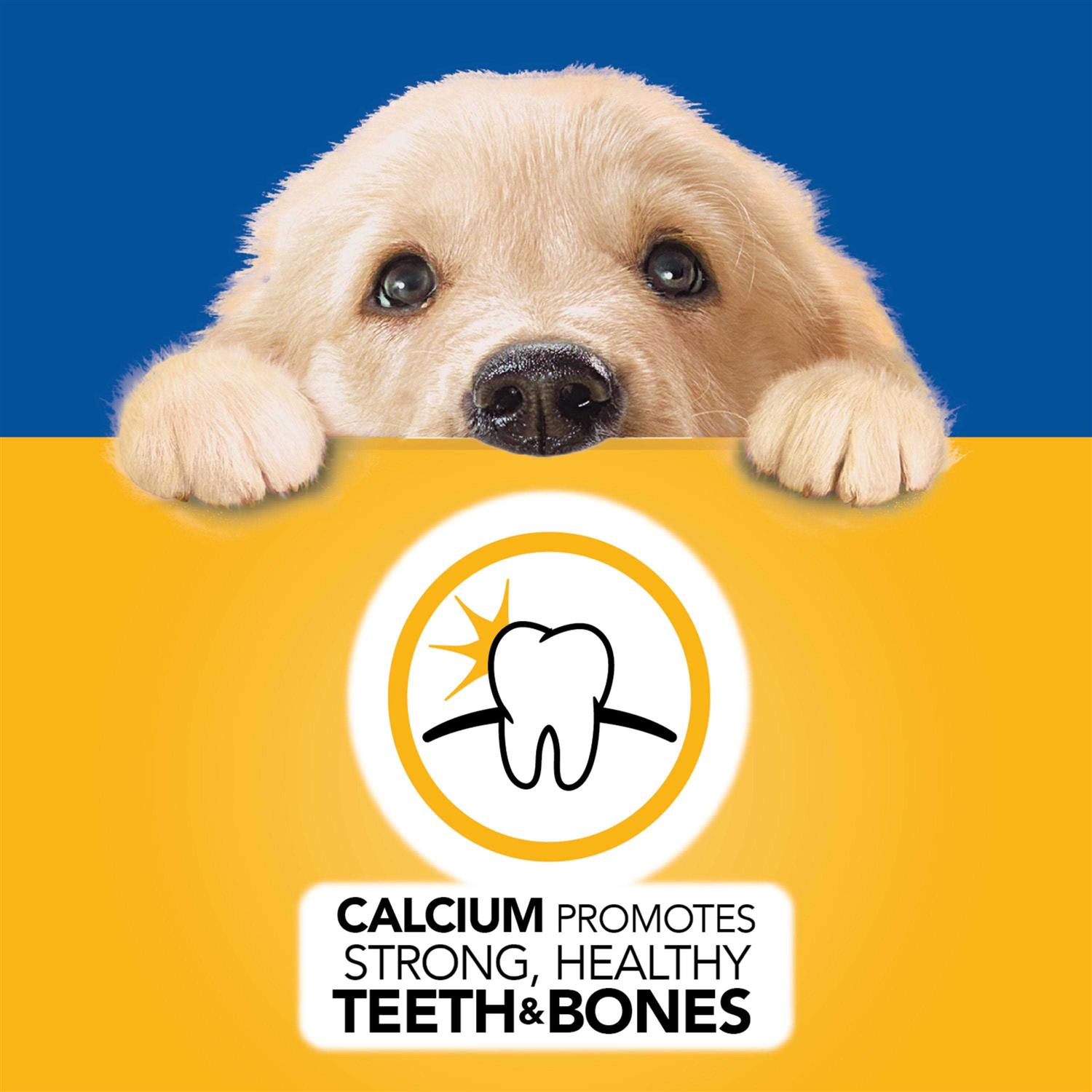 Pedigree Puppy Morsels in Sauce Chicken Wet Dog Food - Nail Gallerys