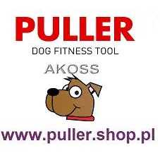 Waterproof Dog Collar with QR passport - Nail Gallerys