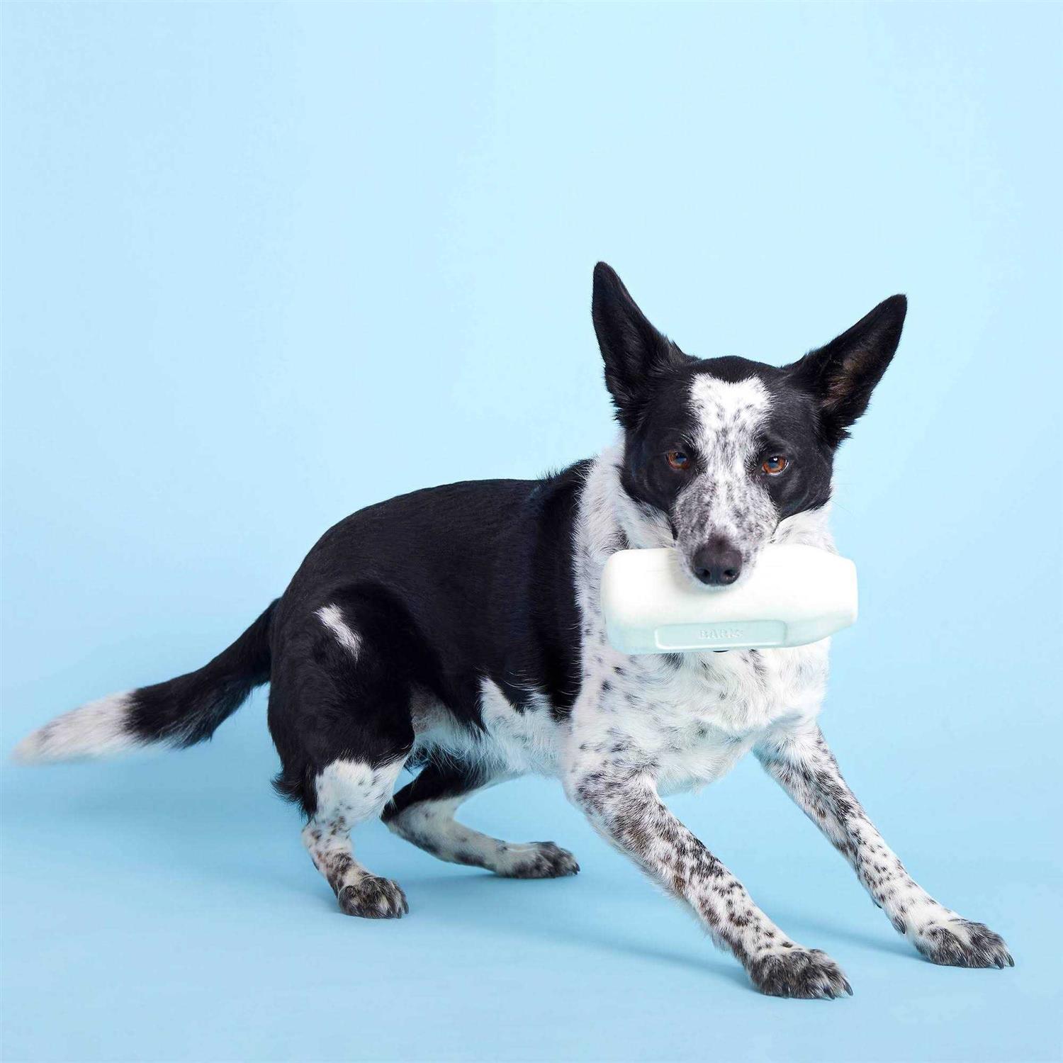 BARK Super Chewer Cow Dog Toy - Nail Gallerys