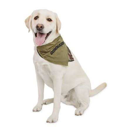 So Phresh Small Animal Litter Pan - Nail Gallerys