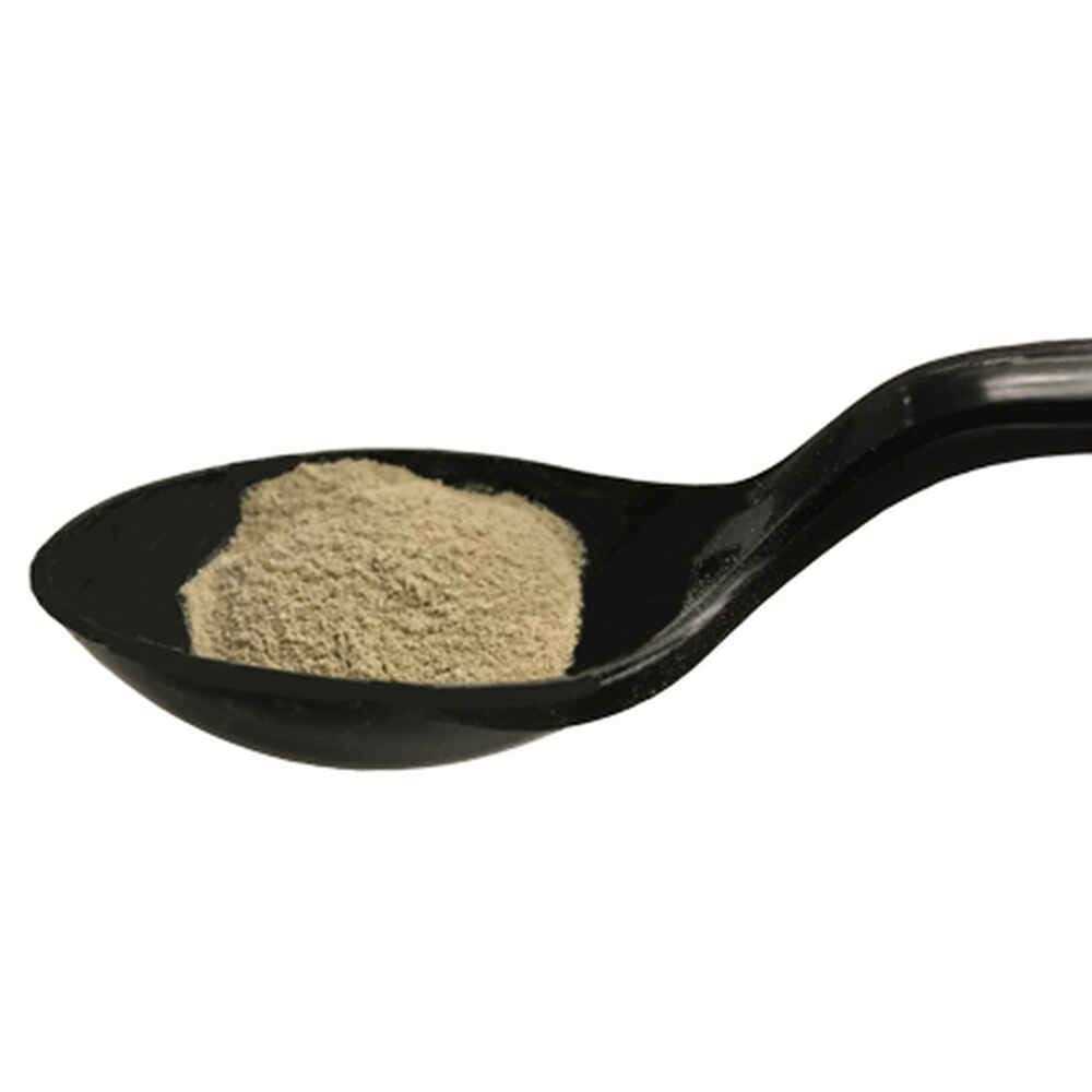 Advita Probiotic Nutritional Supplement for Cats - Nail Gallerys