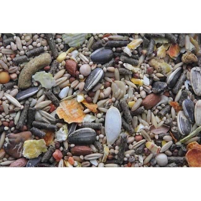 Higgins Sunburst Gourmet Blend Gerbil & Hamster Food - Nail Gallerys