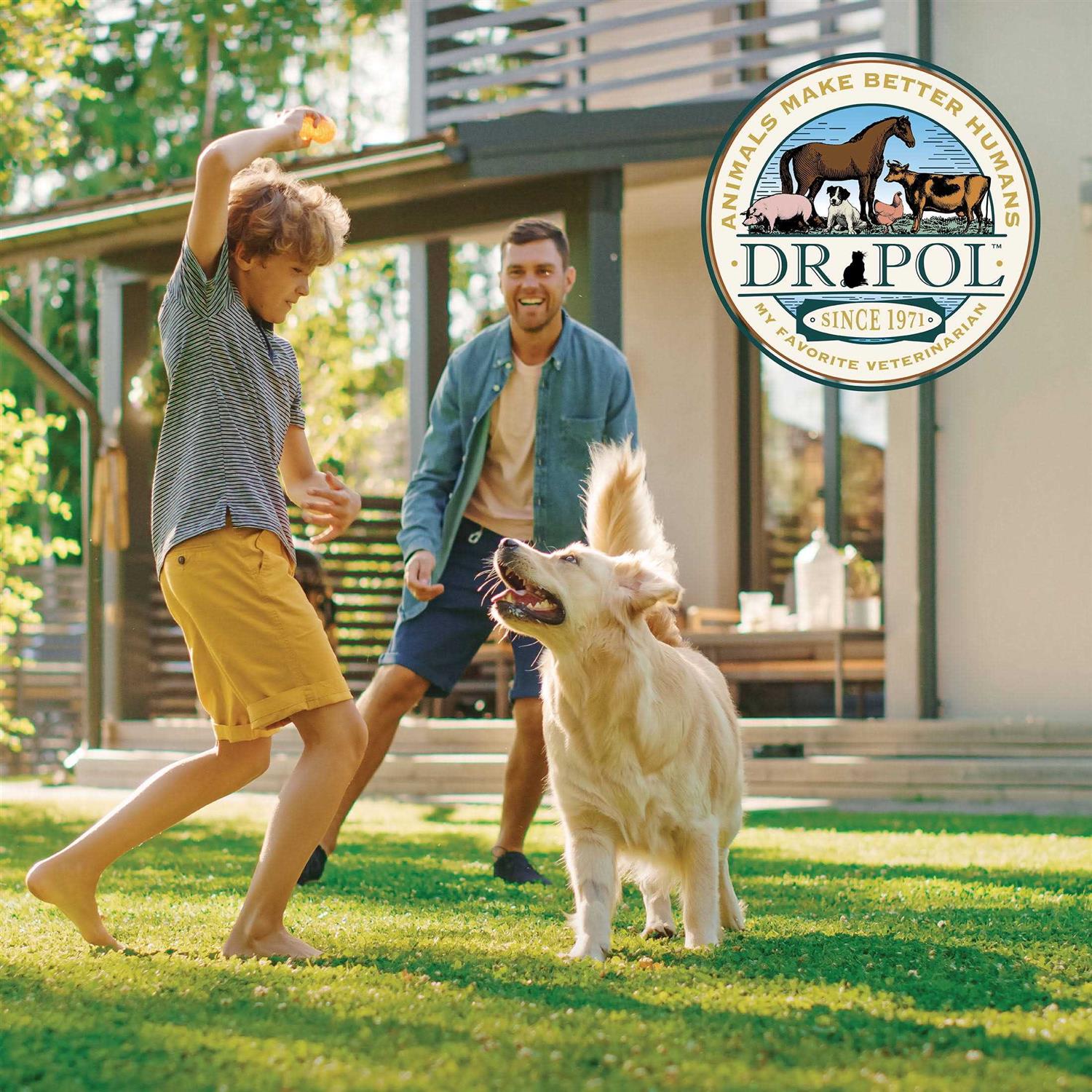 Dr. Pol Healthy Balance Chicken Recipe Dry Dog Food - Nail Gallerys