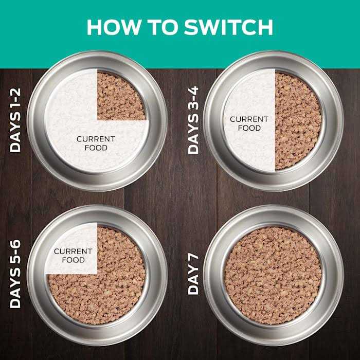 Purina Pro Plan Veterinary Diets EN Gastroenteric Formula Canned Dog Food - Nail Gallerys