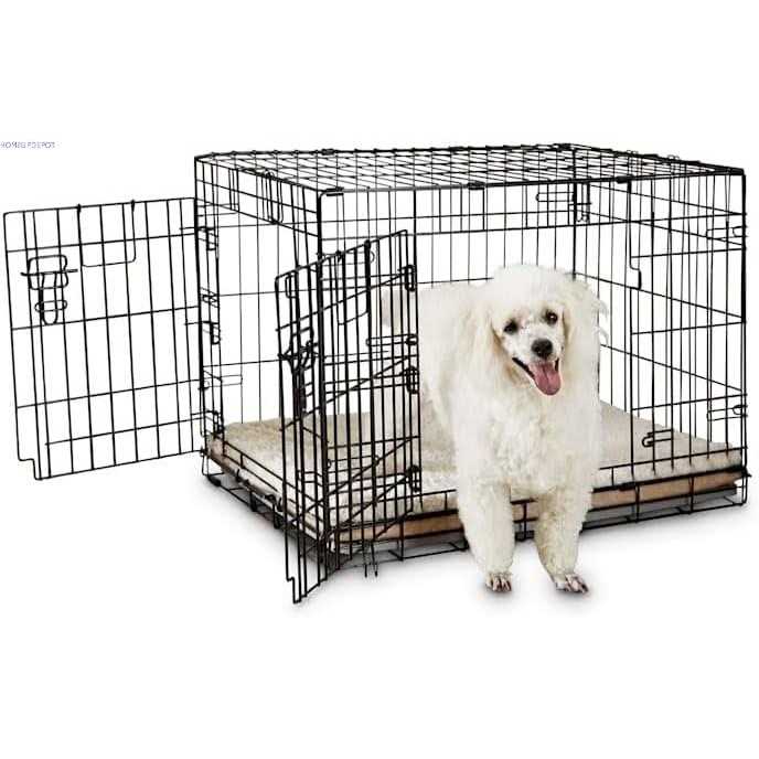 EveryYay Going Places 2-Door Folding Dog Crate - Nail Gallerys