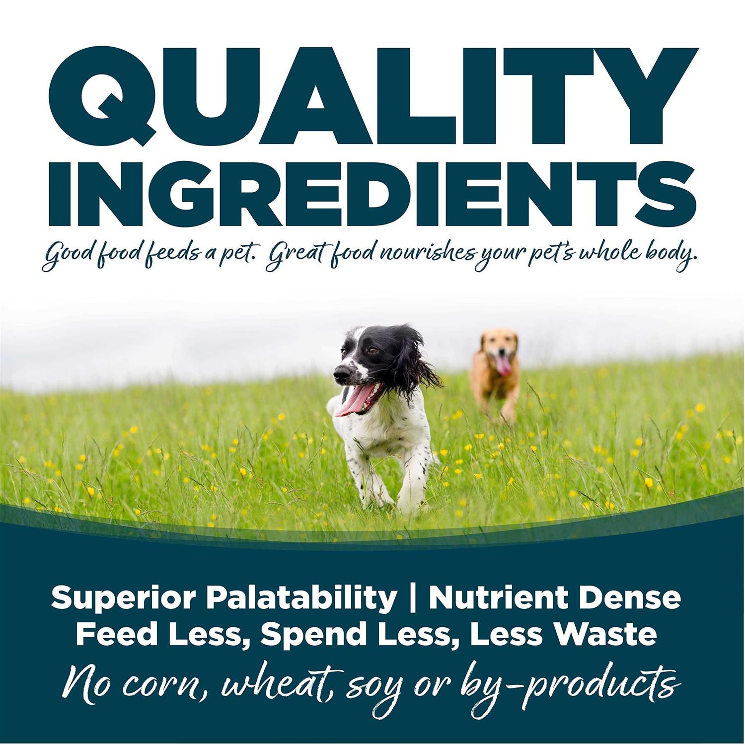 NutriSource Small Bites Adult Chicken & Rice Dry Dog Food - Nail Gallerys