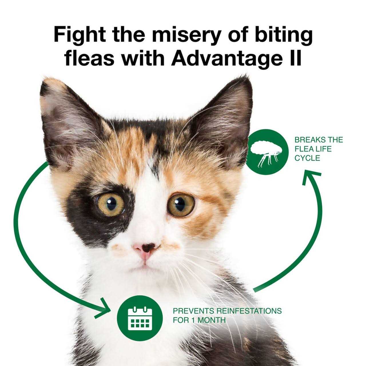 Advantage II Flea Treatment Cats - Nail Gallerys