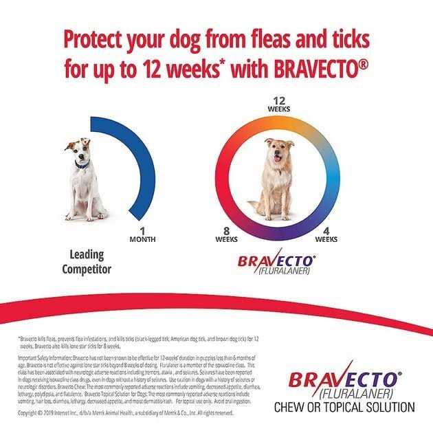 4.4-9.9 lbs Bravecto Chews for Dogs - Nail Gallerys