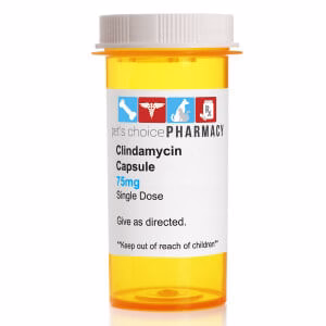 Rx Clindamycin HCl (Generic) Capsules for Dogs - Nail Gallerys