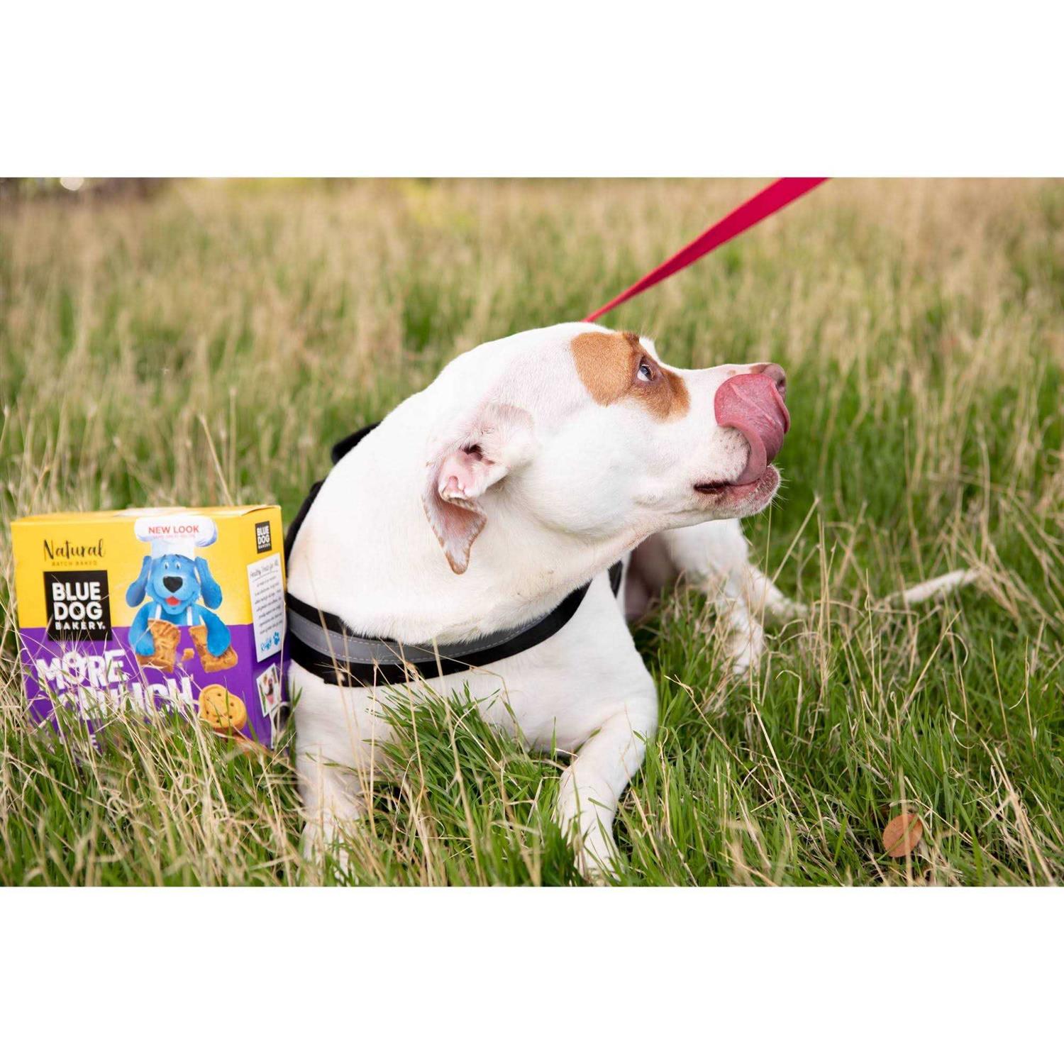 Blue Dog Bakery More Crunch Assorted Flavors Dog Treats - Nail Gallerys