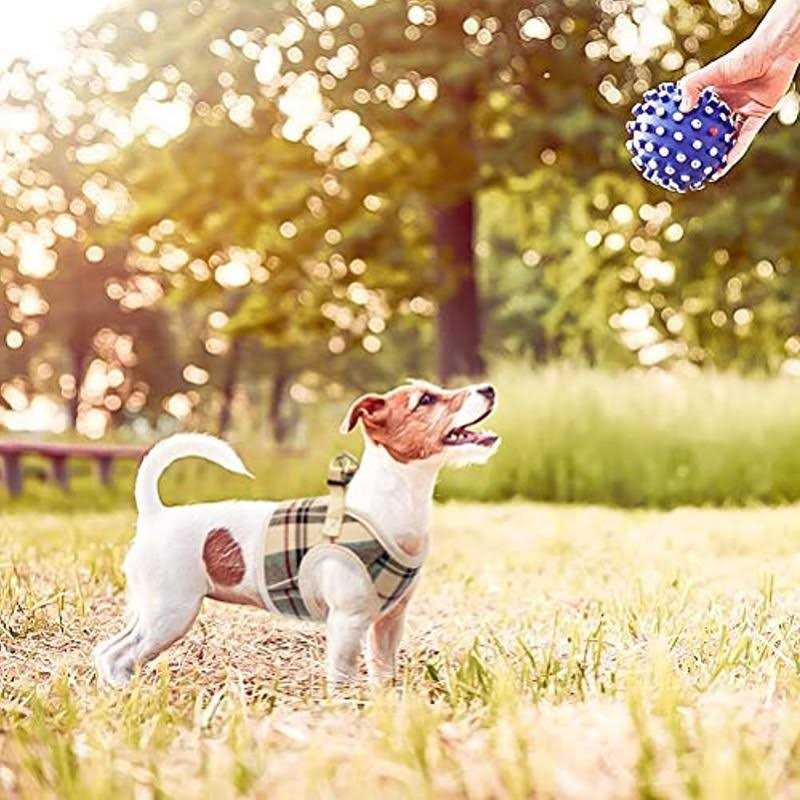 Pupteck Soft Mesh Dog Harness Puppy Padded Vest No Pull Harnesses - Nail Gallerys