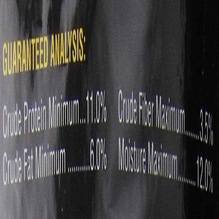 Roudybush Daily Maintenance Mini - Nail Gallerys