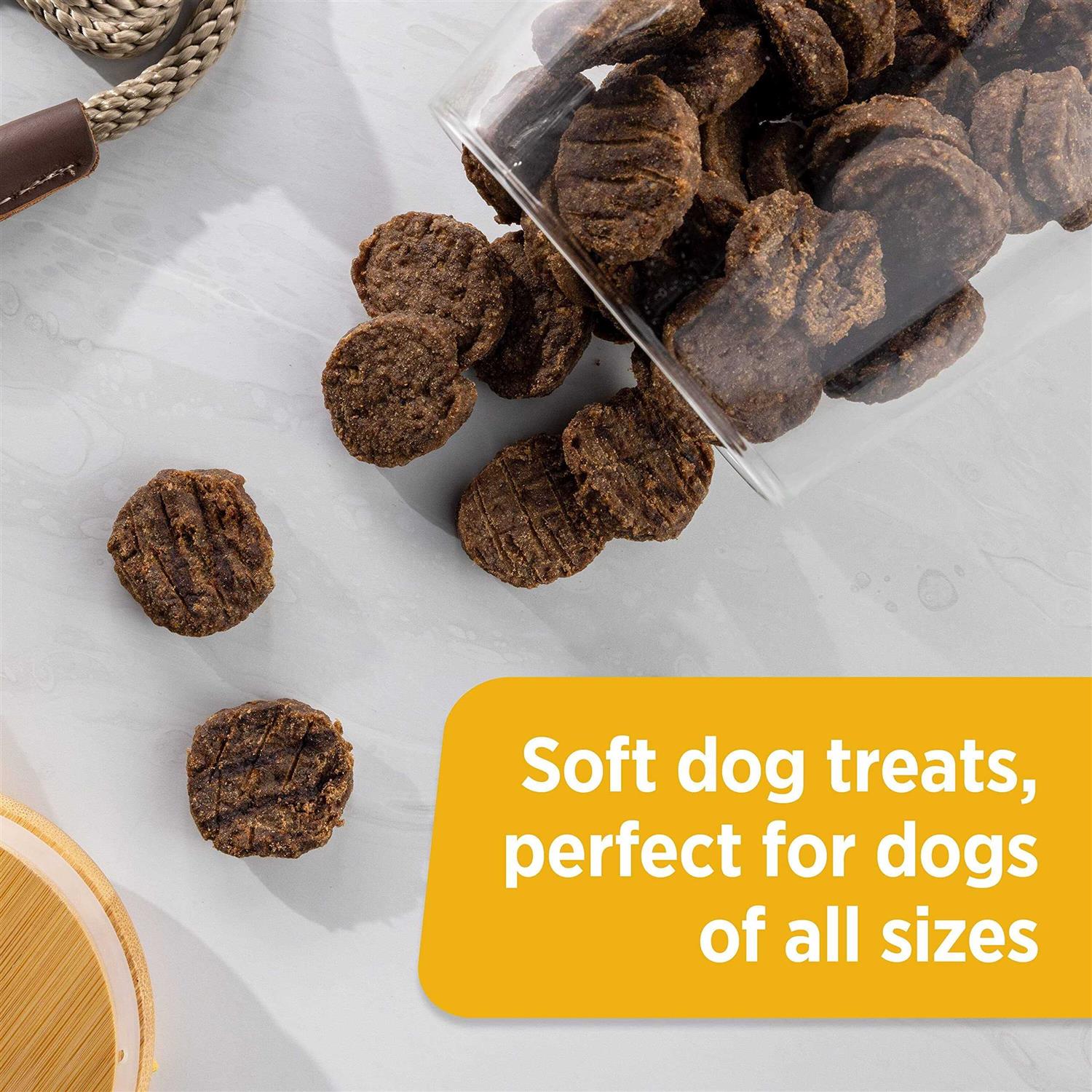 Rachael Ray Nutrish Beef & Bison Burger Bites Dog Treats - Nail Gallerys