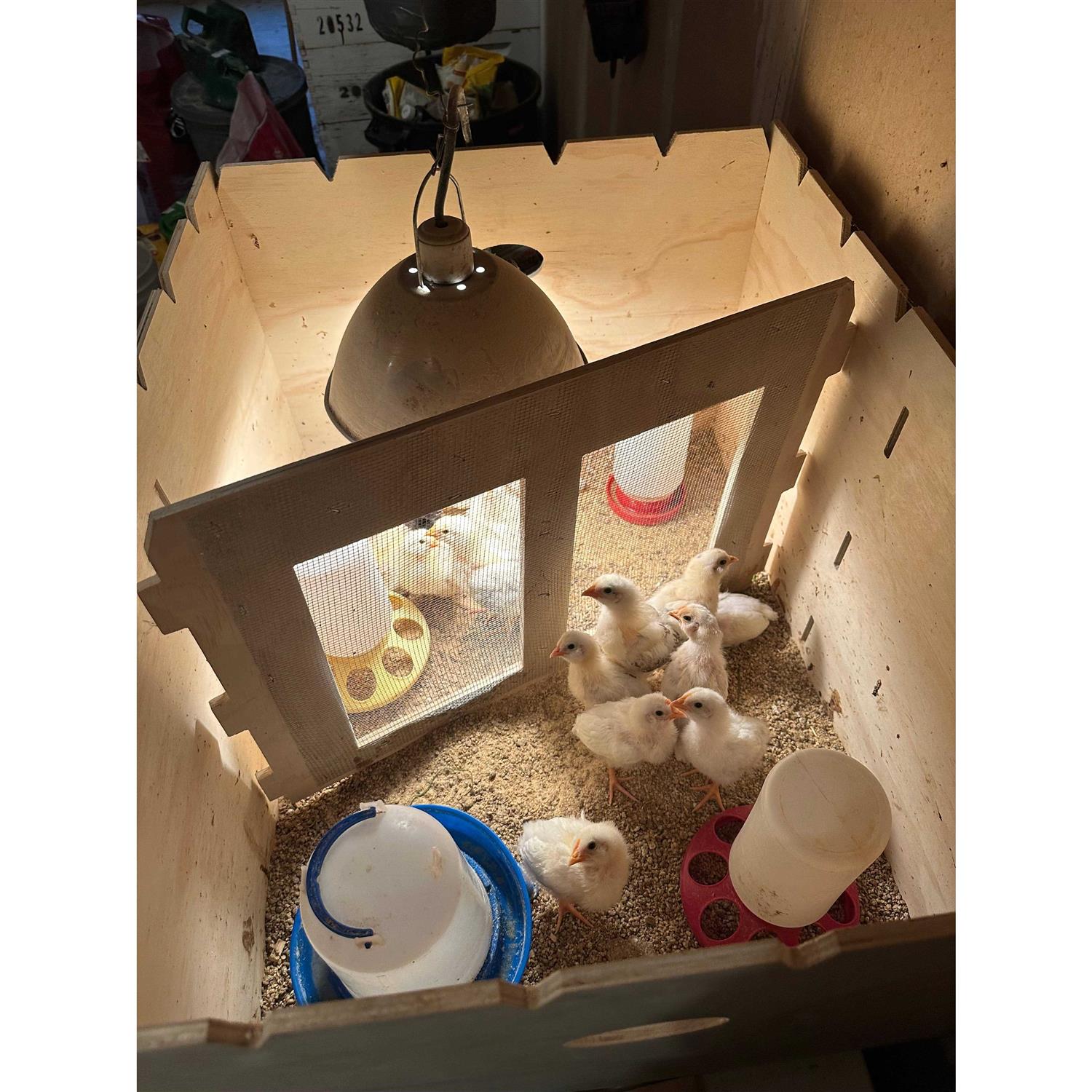 Harvest Lane Farms Chick Brooder Box - Nail Gallerys