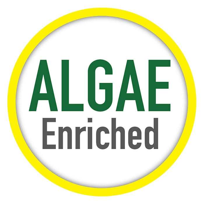 Tetra Tropical Plecowafers - Nail Gallerys