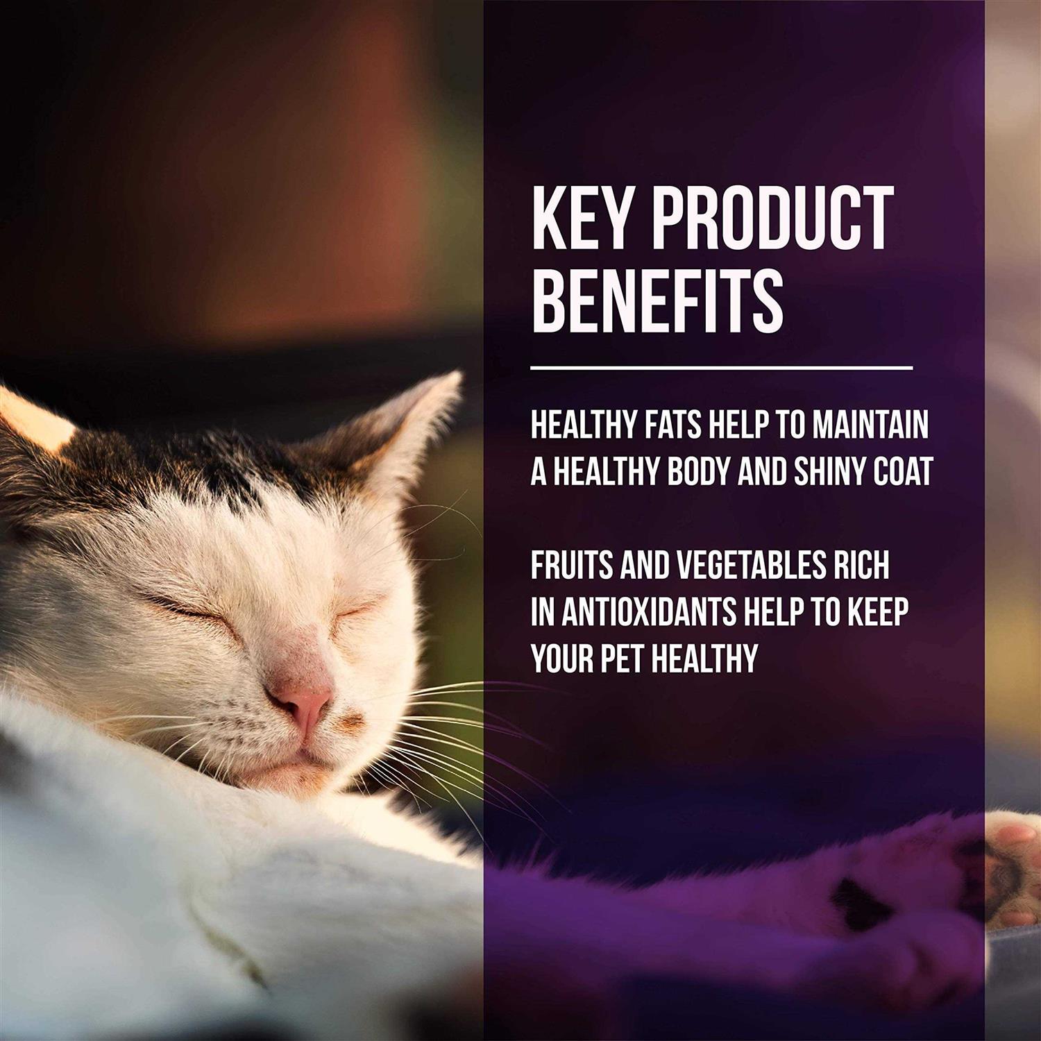 Fussie Cat Market Fresh Quail & Duck Meal Dry Cat Food - Nail Gallerys