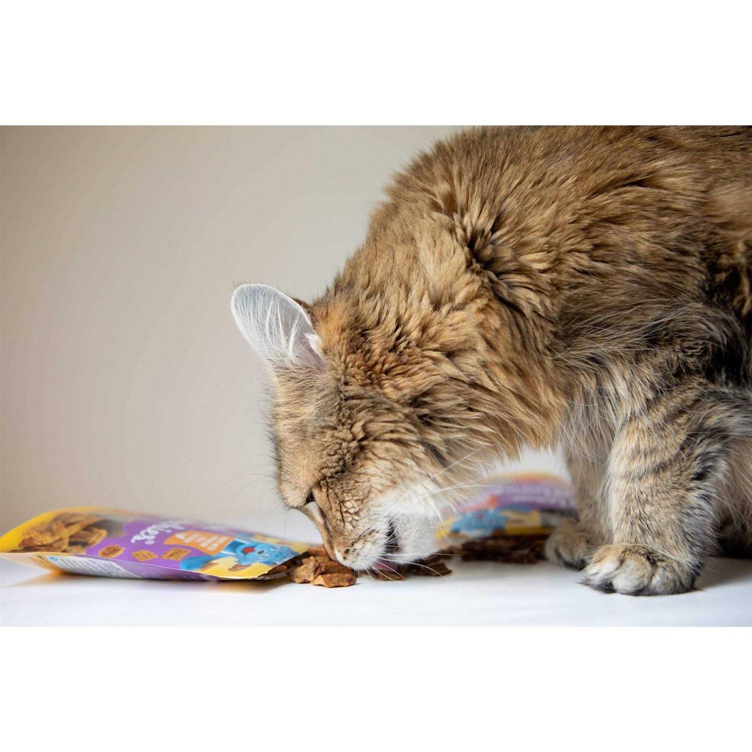 Blue Cat Bakery Meow Munchies Cats - Nail Gallerys