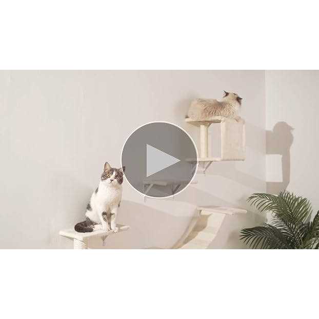 Modern Wall-Mounted Cat Furniture 5pcs Cat Wall Shelves Wooden Cat Climber Cat House, Bridge, Tree, Steps, and Scratcher - Nail Gallerys