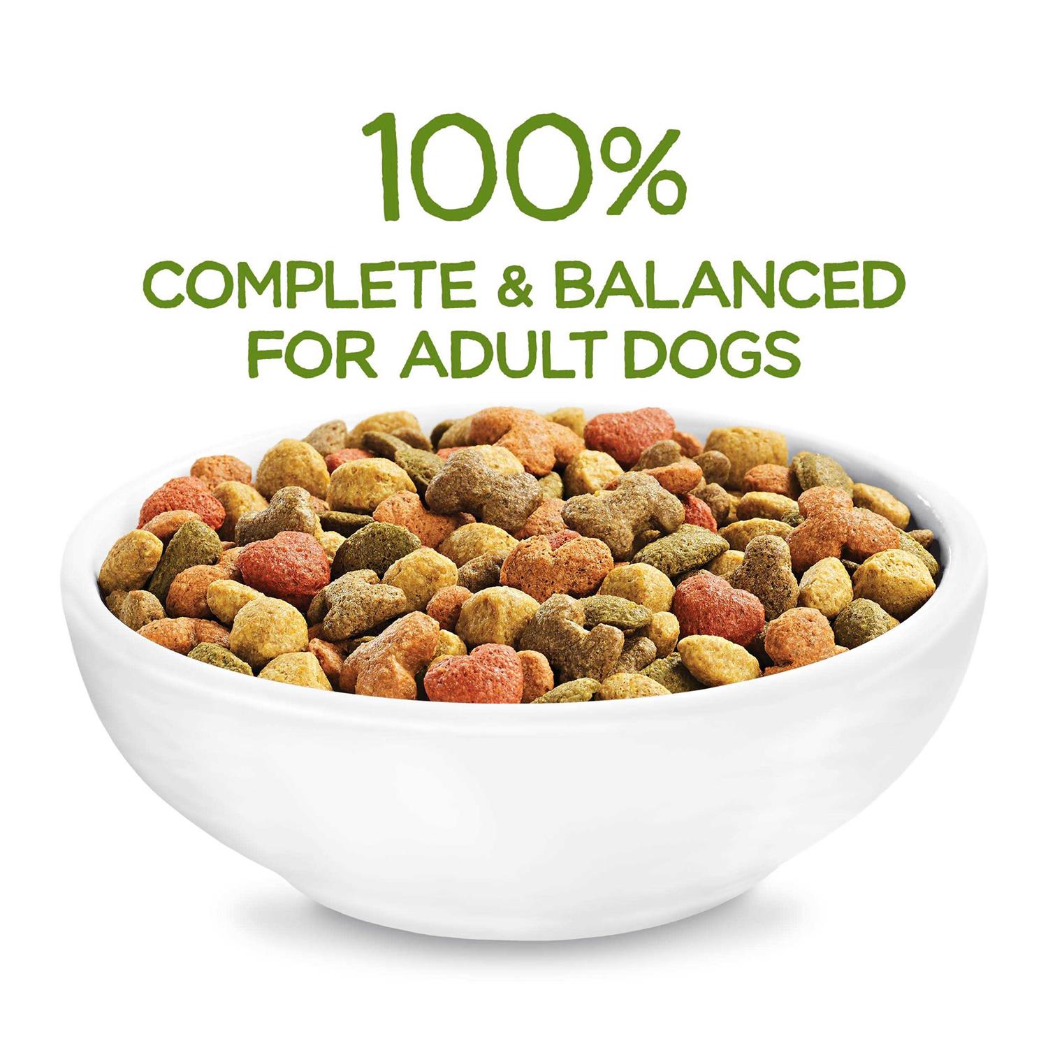 Purina Beneful Healthy Weight Dry Dog Food with Farm-Raised Chicken - Nail Gallerys