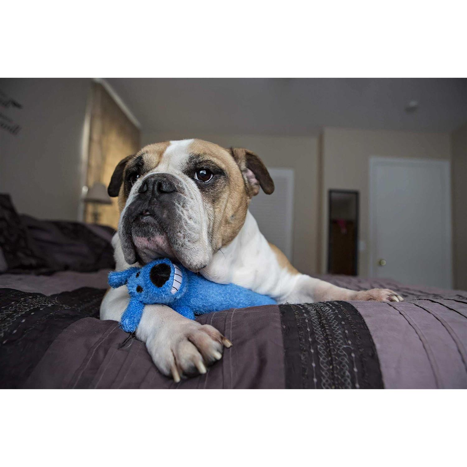 Multipet 24 Loofa Jumbo Dog Toy - Nail Gallerys