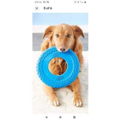 Nerf Dog Flyer Tire Dog Toy - Nail Gallerys