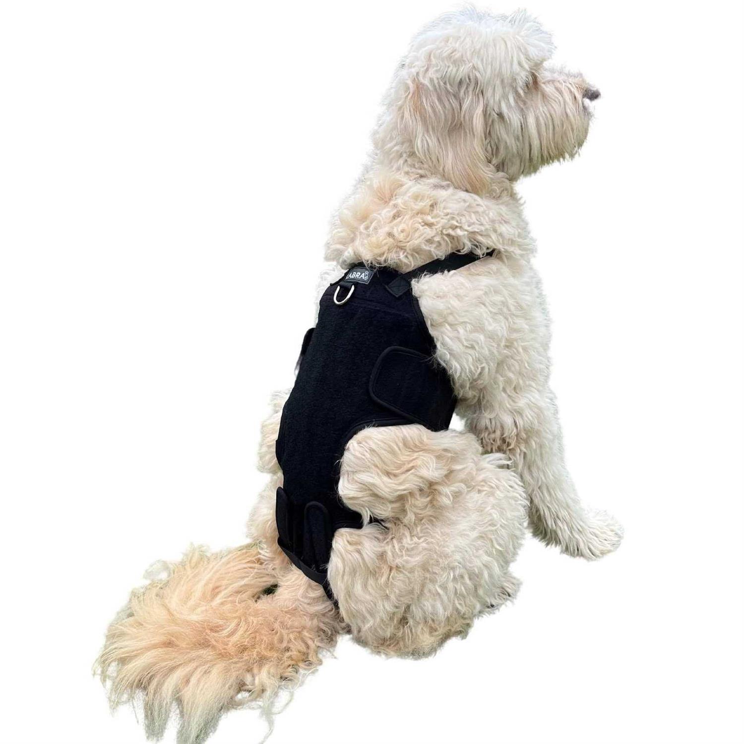 Labra Dog Canine K9 Back Brace IVDD Spine Pain & Spinal Injury - Nail Gallerys