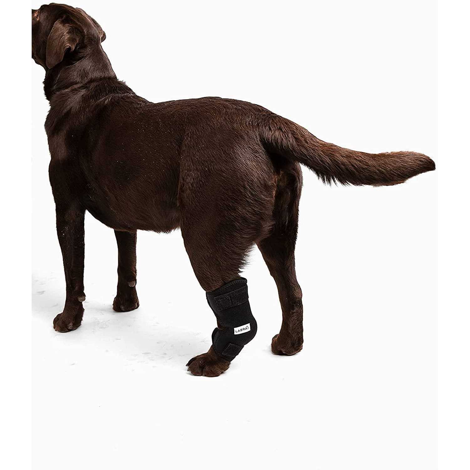 Labra Canine Heat Cold Therapy Dog Leg Wrap - Nail Gallerys
