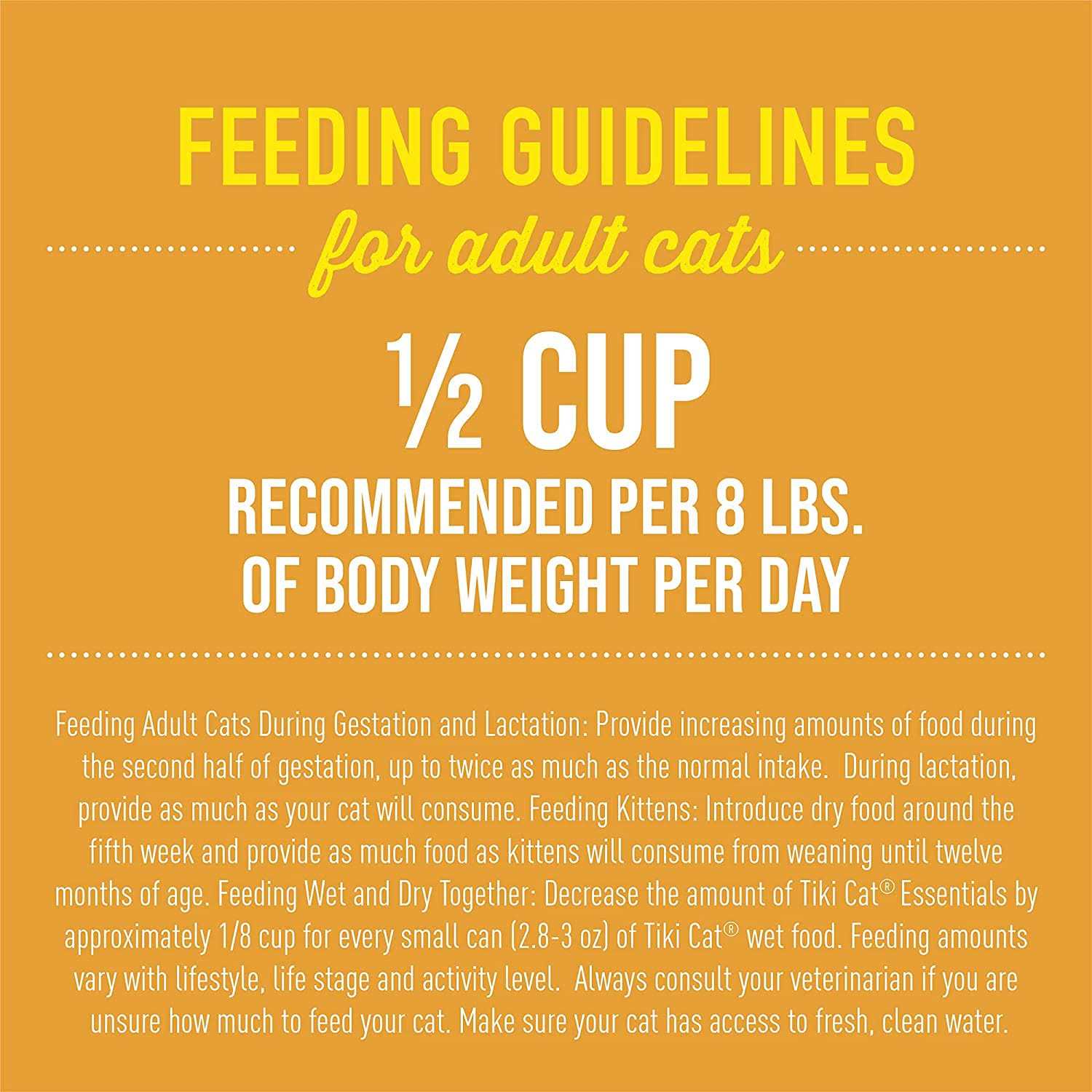 Tiki Cat Essentials Chicken & Turkey Meal Recipe Dry Cat Food - Nail Gallerys