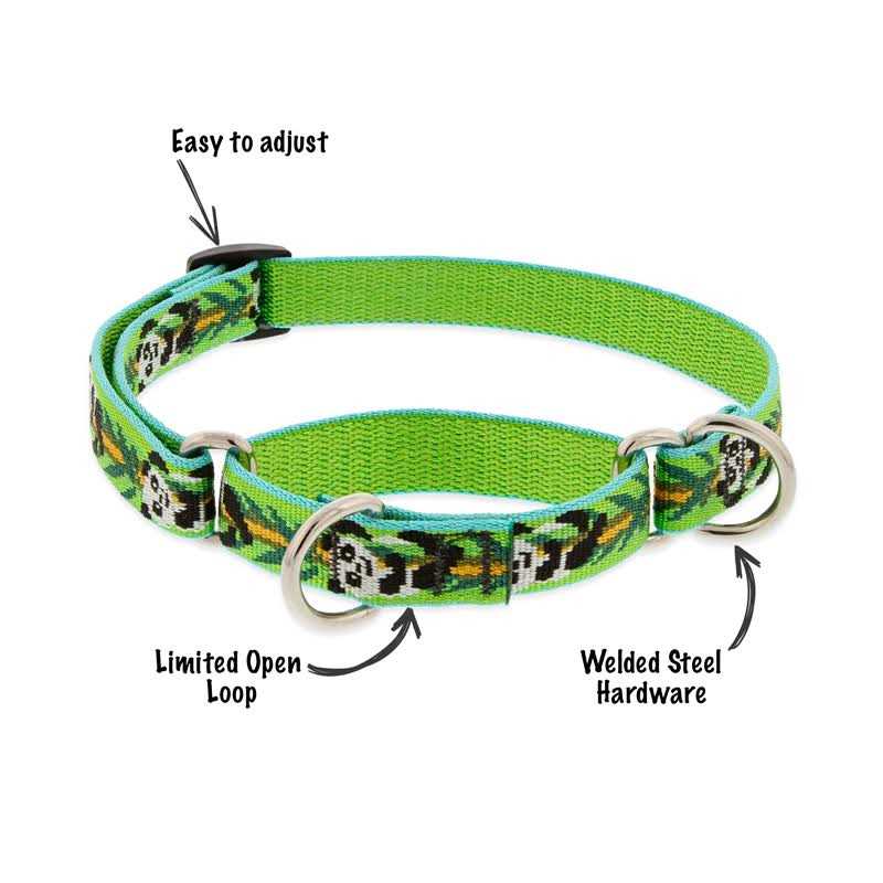 LupinePet Martingale Collar - Nail Gallerys