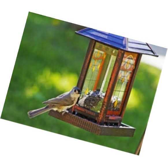 Wagner’s 5 Lb 100% Striped Sunflower Seed - Nail Gallerys