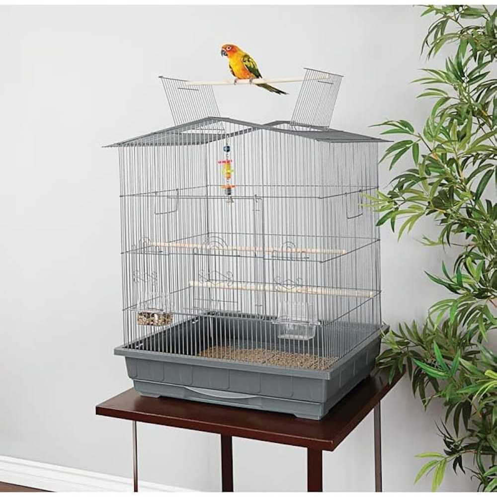 You & Me Gable Playtop Parrot Habitat 24.75 L X 20.75 W X 32 H - Nail Gallerys