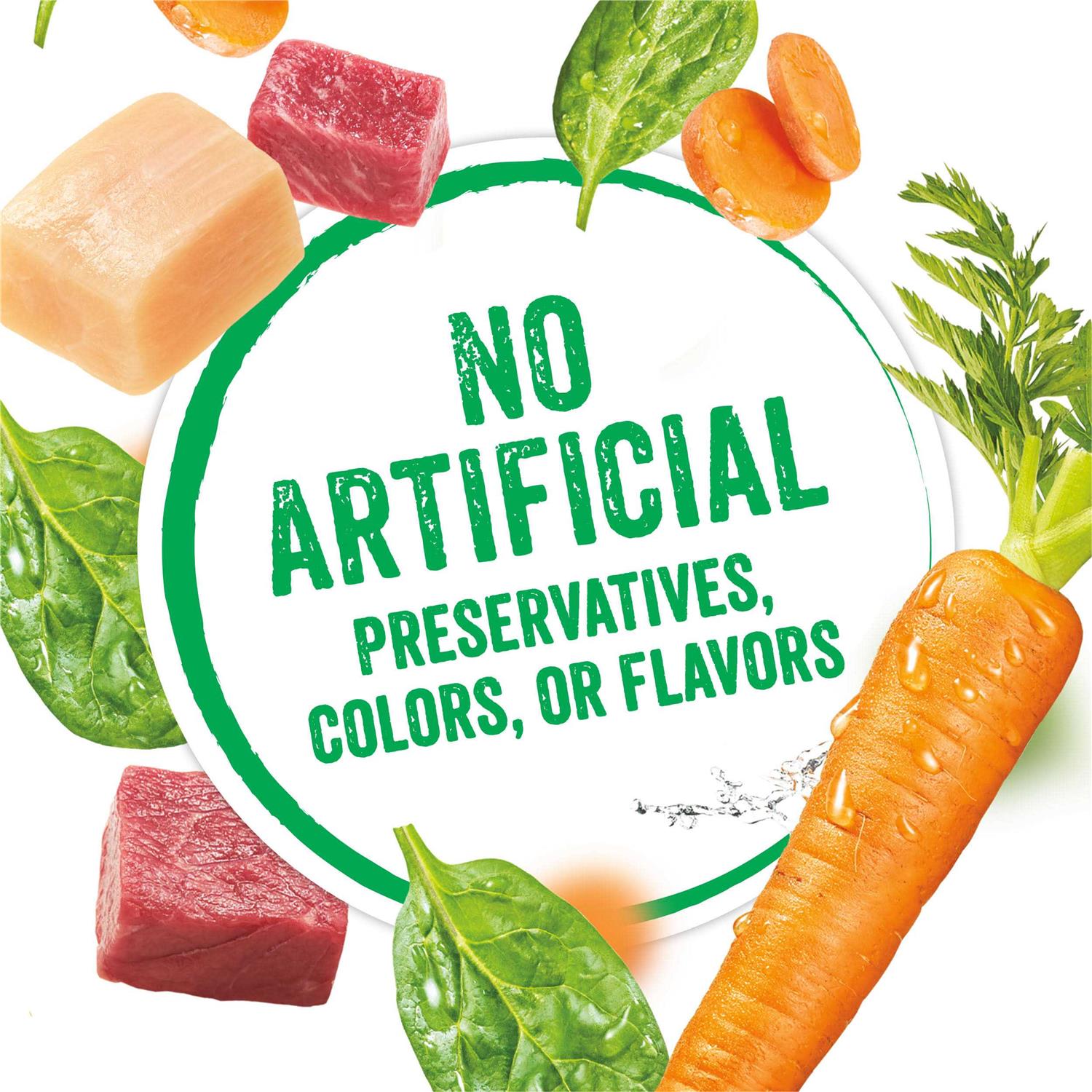 Purina Beneful Infused Tender Pate Wet Dog Food Variety Pack Cans - Nail Gallerys