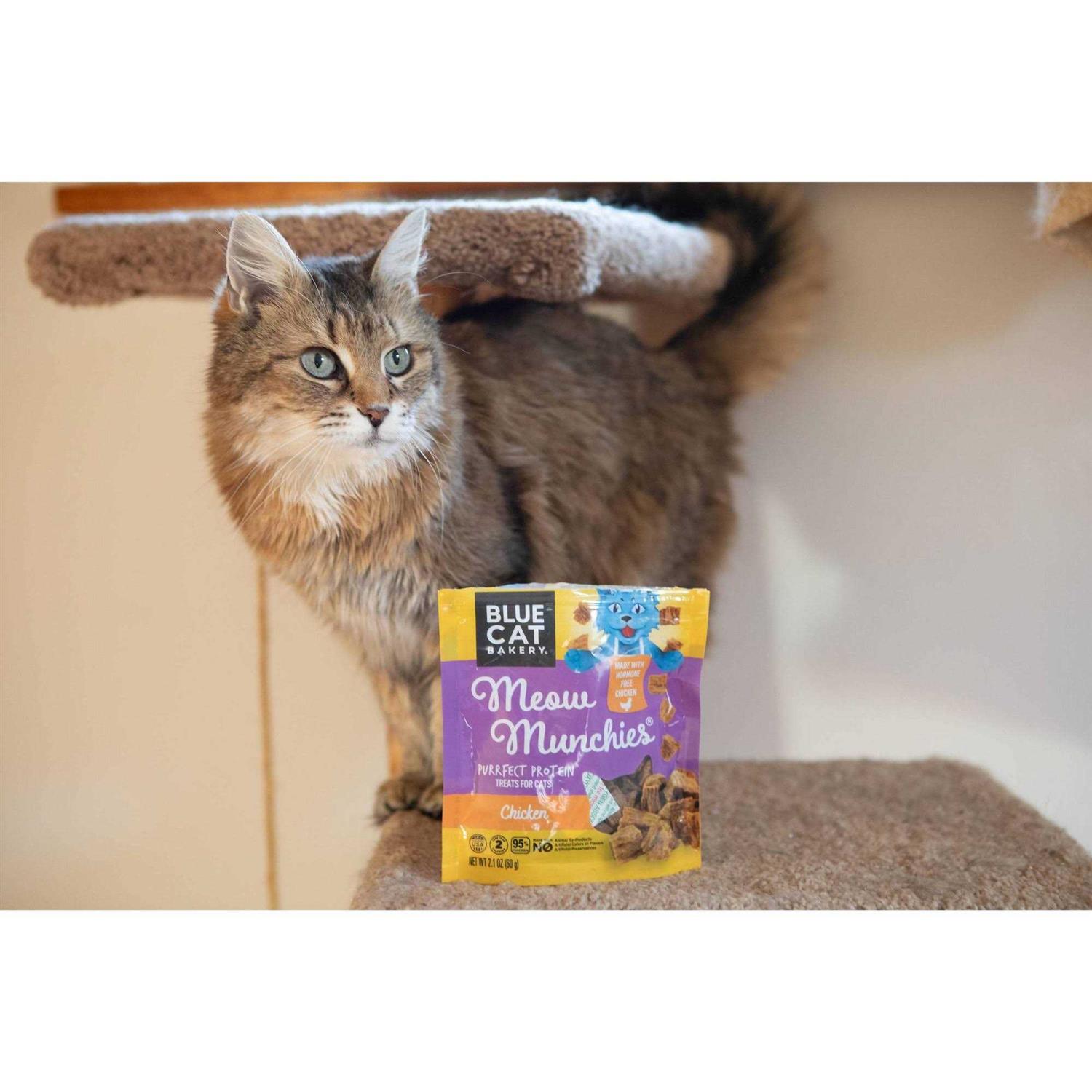 Blue Cat Bakery Meow Munchies Cats - Nail Gallerys