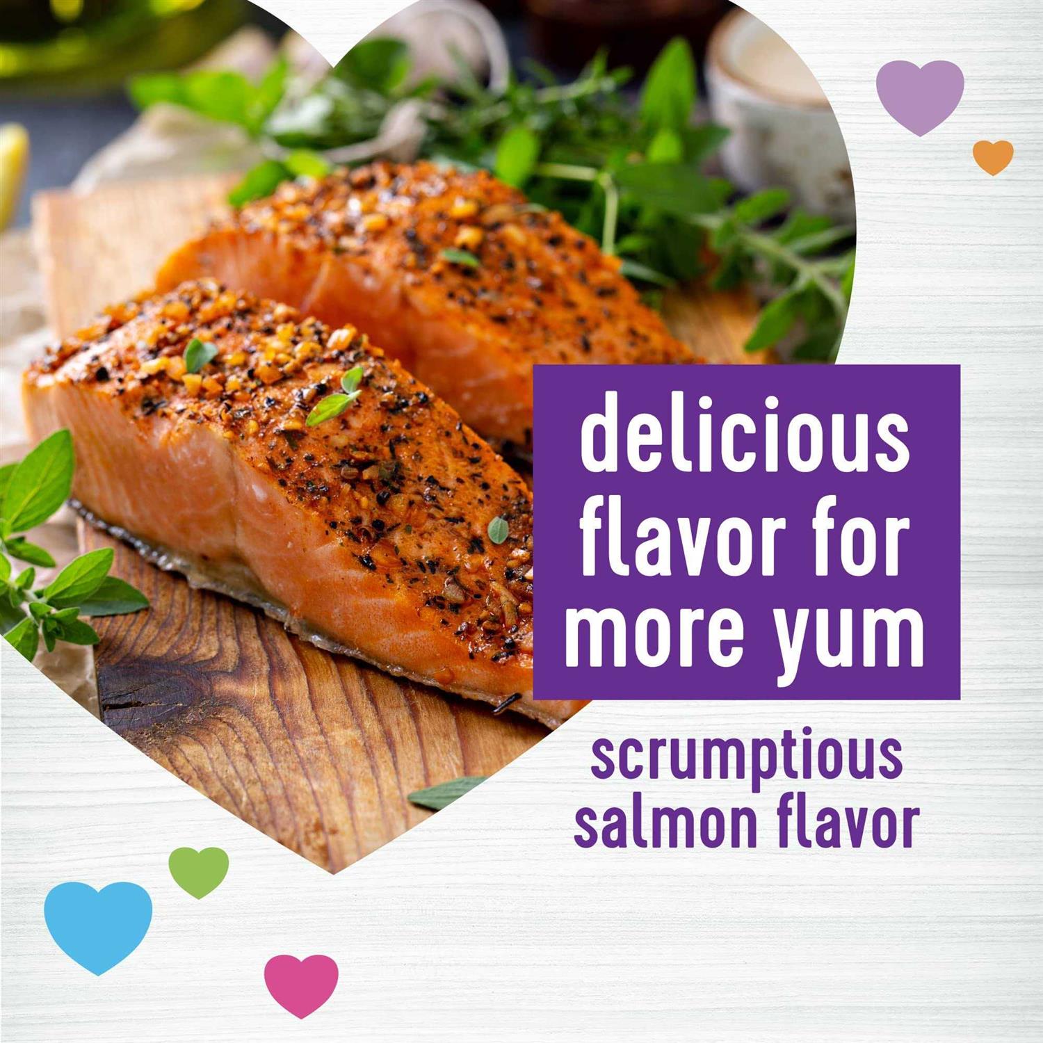 Wellness Salmon Flavored Soft Chew Immune & Allergy Supplements for Dogs - Nail Gallerys