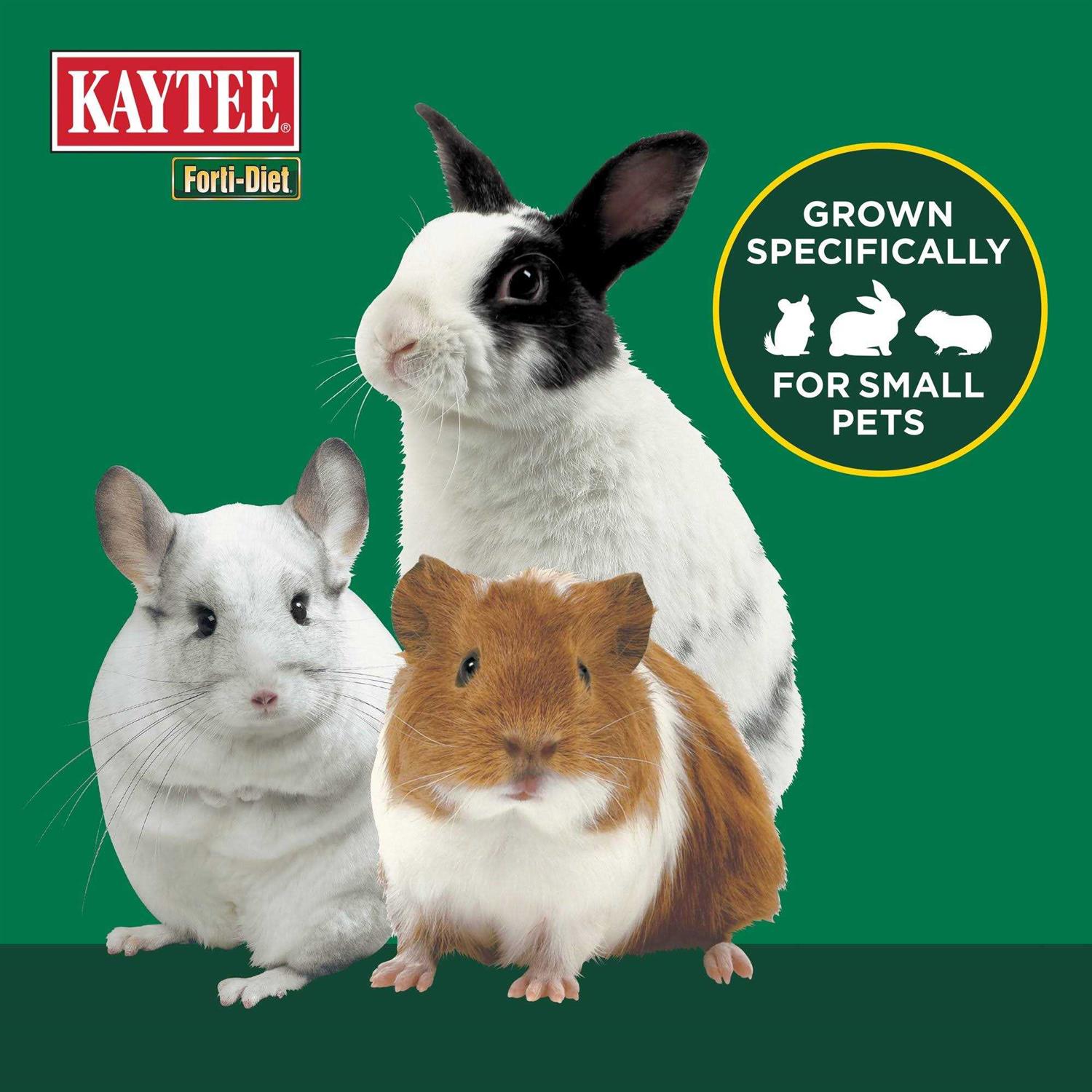Kaytee Forti diet Timothy Hay for Small Animals - Nail Gallerys