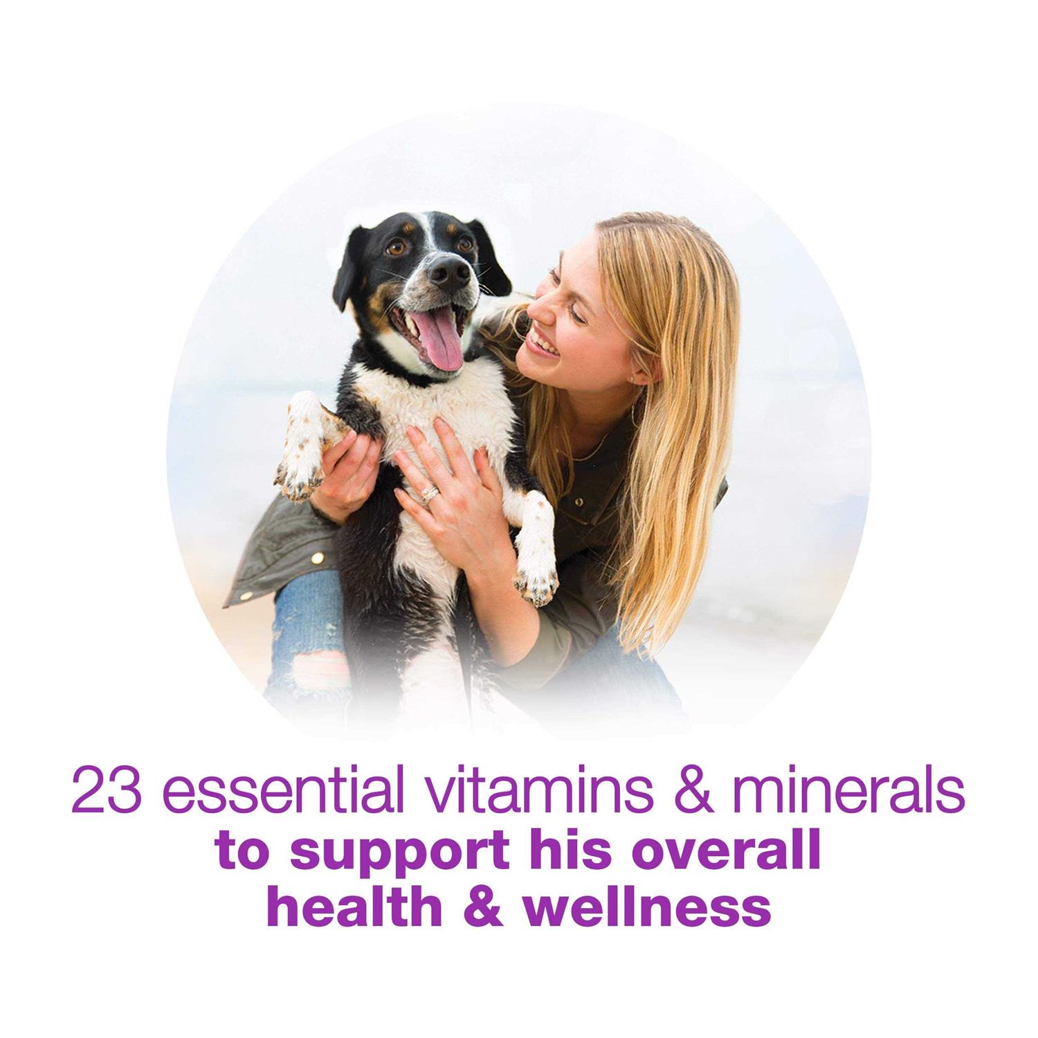 Purina Beneful Chopped Blends Wet Dog Food - Nail Gallerys