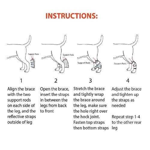 NeoAlly Dog Rear Leg Hock Metal Spring Strips - Nail Gallerys