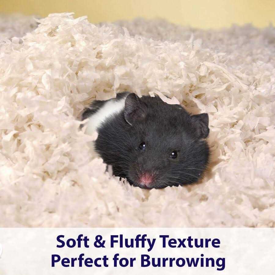 Kaytee Clean & Cozy Small Pet Bedding - Nail Gallerys