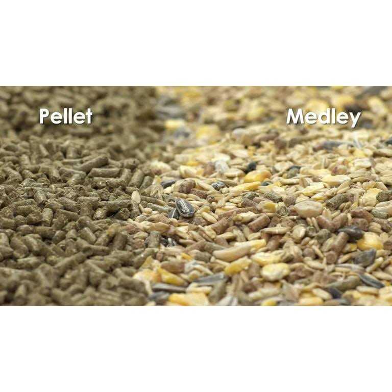 Kaytee Forti-Diet Pro Health Hamster Gerbil Food - Nail Gallerys